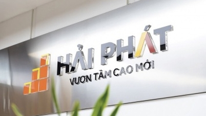 សមាជិកក្រុមប្រឹក្សាភិបាល Hai Phat ចង់ទិញភាគហ៊ុនចំនួន 3 លាន