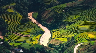 Những “nấc thang” mùa lúa chín làm say lòng nhiếp ảnh gia