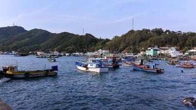 To make Vietnam strong in the sea, rich from the sea