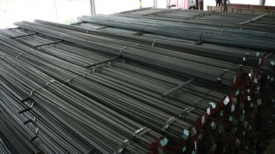 Tien Len Steel បន្តខកខានកាលបរិច្ឆេទកំណត់ការហៅទូរស័ព្ទមូលធន