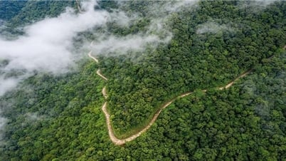 Forest environmental service payment policy: Creating motivation for people to preserve and develop forests