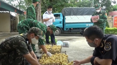 Ngăn chặn gia súc, gia cầm nhập lậu kiểu 'ném đá ao bèo’