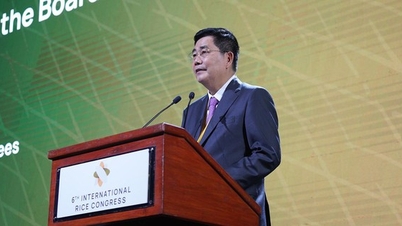 VinFuture សាងសង់ស្ពានមួយដើម្បីនាំវិទ្យាសាស្ត្រវៀតណាមទៅកាន់កម្រិតពិភពលោក