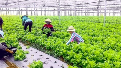 អាជីវកម្មកសិកម្មរួមបញ្ចូលជាច្រើនមិនទាន់រួចរាល់ក្នុងការទទួលការវិនិយោគទេ។