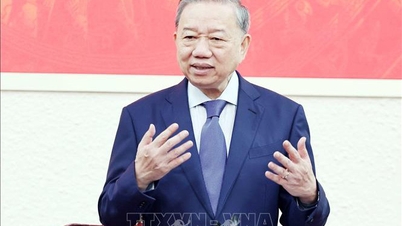 'រឿងមួយរយត្រូវតែមានច្បាប់ដ៏ទេវភាព'