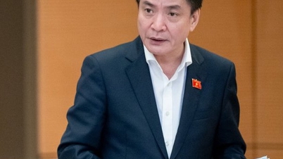 The content decided at the extraordinary meeting has strategic significance.