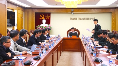Annonce de la décision d'inspecter l'exercice des fonctions publiques au ministère de l'Éducation et de la Formation, au ministère de la Santé et au Comité populaire de la ville de Da Nang
