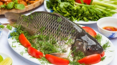 Shocked with 12 'golden' uses of carp that no one expected
