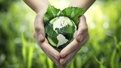 Chuyển đổi xanh để hội nhập toàn cầu, phát triển bền vững