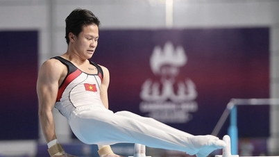 Thể thao Việt Nam chạy đua săn vé dự Olympic Paris