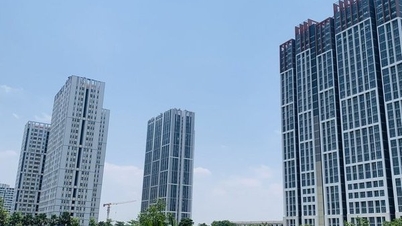 Positive signals of the Southern real estate market: Catching the "wave"