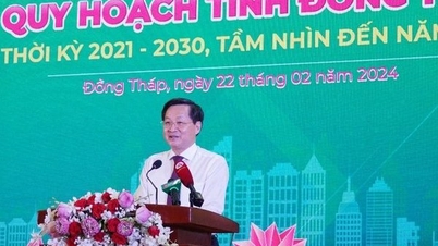 Quy hoạch tỉnh Đồng Tháp phát huy lợi thế, tạo đà phát triển