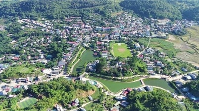 박옌(손라) : 명사들의 역할을 효과적으로 홍보
