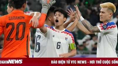 Lịch thi đấu bóng đá hôm nay ngày 30/1 mới nhất