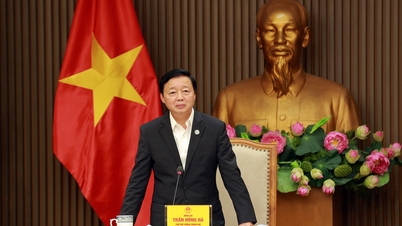 Phó thủ tướng: Thuốc phổ thông phải đấu thầu tập trung