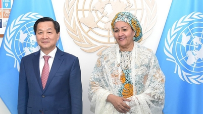 Deputy Prime Minister Le Minh Khai meets with the United Nations Deputy Secretary-General
