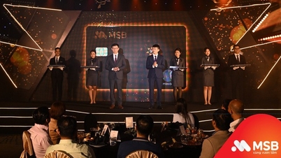 MSB បង្ហាញប័ណ្ណឥណទានលំដាប់ខ្ពស់ Mastercard World Elite ដល់អតិថិជនលំដាប់ខ្ពស់។