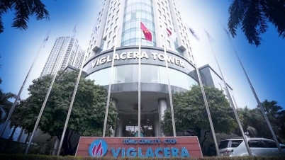Cổ phần hóa, thoái vốn đều chậm, vẫn còn nguyên nhân chậm phê duyệt phương án sử dụng đất