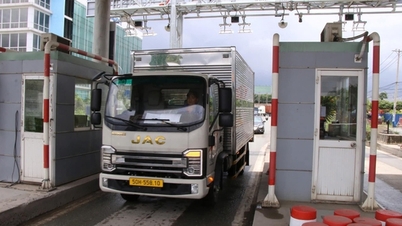 Request to ensure traffic order and safety at Phu Huu BOT