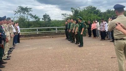 A facility in Binh Phuoc illegally employs foreign workers.