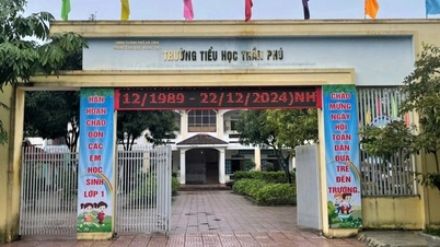 Cô giáo tiểu học bị kỷ luật vì dạy thêm tại nhà