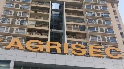 Agriseco រាយការណ៍ពីការធ្លាក់ចុះប្រាក់ចំណេញនៅត្រីមាសទី 3 ទោះបីជាមានការកើនឡើងយ៉ាងខ្លាំងនៃប្រាក់ចំណូលពីឈ្មួញកណ្តាលក៏ដោយ។