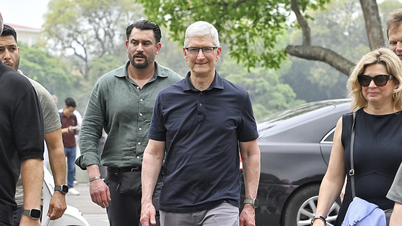 Tim Cook: 'Tôi hào hứng đến Việt Nam'