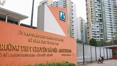 Học sinh Hà Nội có nhiều lựa chọn vào trường THCS chất lượng cao