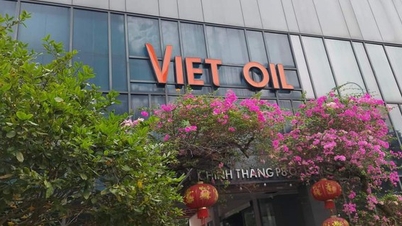 Dừng thông quan xăng dầu của Hải Hà Petro và Xuyên Việt Oil