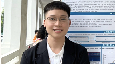 Thủ khoa Sư phạm hiếm hoi tốt nghiệp sớm với điểm tuyệt đối