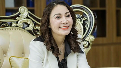 លោក Lam Dong ផ្អាក​ប្រតិបត្តិការ​ទ្រព្យ​សកម្ម​របស់​មនុស្ស​៥​នាក់​ទាក់​ទង​នឹង​ករណី​ក្រុមហ៊ុន Nhat Nam