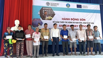 Ca Mau: Supporting 1,000 households affected by drought and saltwater intrusion