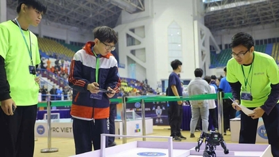 תלמידי "בית ספר כפרי" זוכים במגרש המשחקים הלאומי למדע, טכנולוגיה, טכנולוגיה וטכנולוגיה