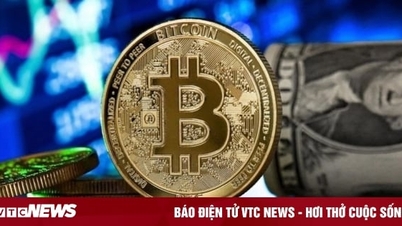 ビットコイン価格が8万2000ドルを超え、史上最高値を記録