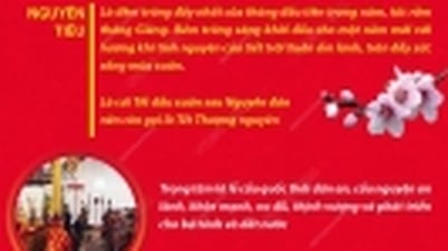 Pleine lune de janvier - Têt Nguyen Tieu, une grande fête du peuple vietnamien