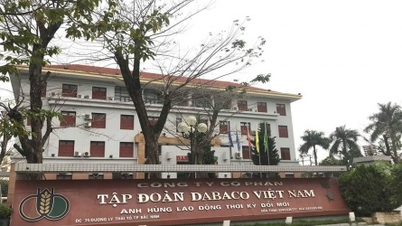 Dabaco (DBC) escaped loss thanks to financial revenue, only reaching 4.4% of the year plan