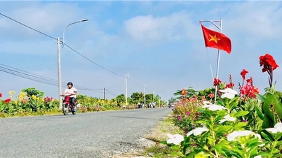 National Target Program 1719 creates new development momentum for ethnic minorities in Vinh Long province