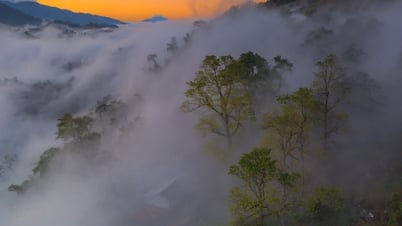 Mùa đông ở “xứ sở sương mù” Sa Pa