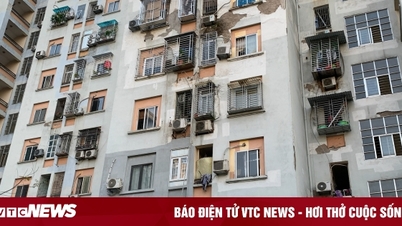 Chung cư tróc vẩy, mốc meo ở Hà Nội rao bán hơn 4 tỷ, người mua bất lực