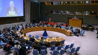 Tình hình nhân đạo "tuyệt vọng"; Thủ tướng Israel quyết "chiến"; Trung Quốc sát cánh với Palestine