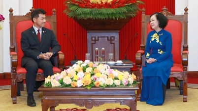 Thường trực Ban Bí thư Trương Thị Mai tiếp Chủ tịch Đảng Dân chủ lập hiến Nhật Bản