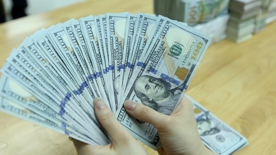 How long will the USD price increase?