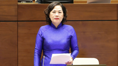 国会がグエン・ティ・ホン国立銀行総裁に質問