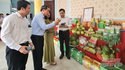 ផលិតផលកសិកម្ម Tuyen Quang កំពុងធ្វើដំណើរទៅកាន់ប្រទេសអង់គ្លេស