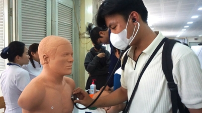 Studiengebühren der Ho Chi Minh City University of Medicine and Pharmacy übersteigen 80 Millionen VND