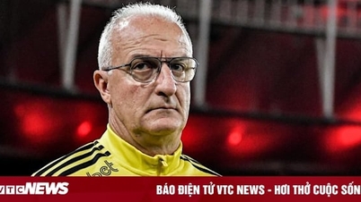 Không thuê được HLV Ancelotti, tuyển Brazil chọn thầy nội thay thế