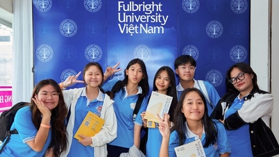 សាកលវិទ្យាល័យ Fulbright ប្រទេសវៀតណាម ប្រកាសផ្តល់អាហារូបករណ៍ 7 ប្រភេទសម្រាប់ថ្នាក់ 2024-2028