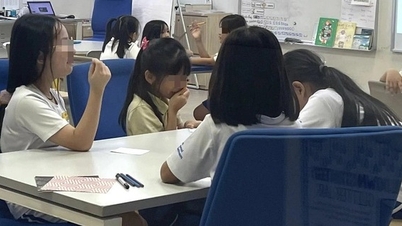 Trường quốc tế AISVN tính phương án phát hành cổ phiếu cho phụ huynh