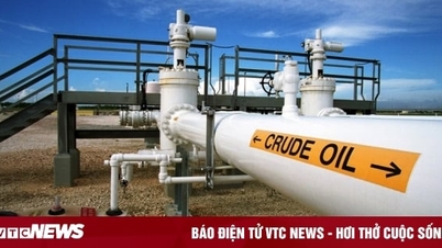 Giá xăng dầu hôm nay 24/2: Giá dầu lao dốc phiên cuối tuần