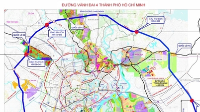 Thành lập Hội đồng thẩm định báo cáo nghiên cứu tiền khả thi DA đầu tư xây dựng đường Vành đai 4 TPHCM